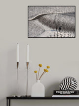 Winter vineyards Poster och Canvastavla