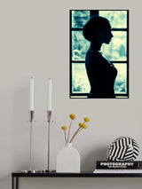The window Poster och Canvastavla