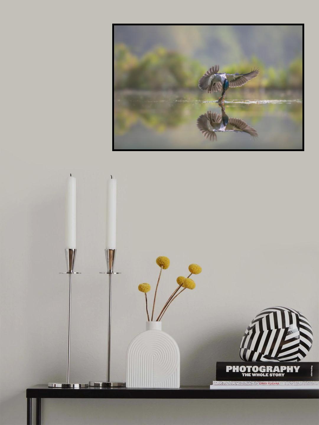 Smooth landing Poster och Canvastavla