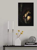 The lady Poster och Canvastavla