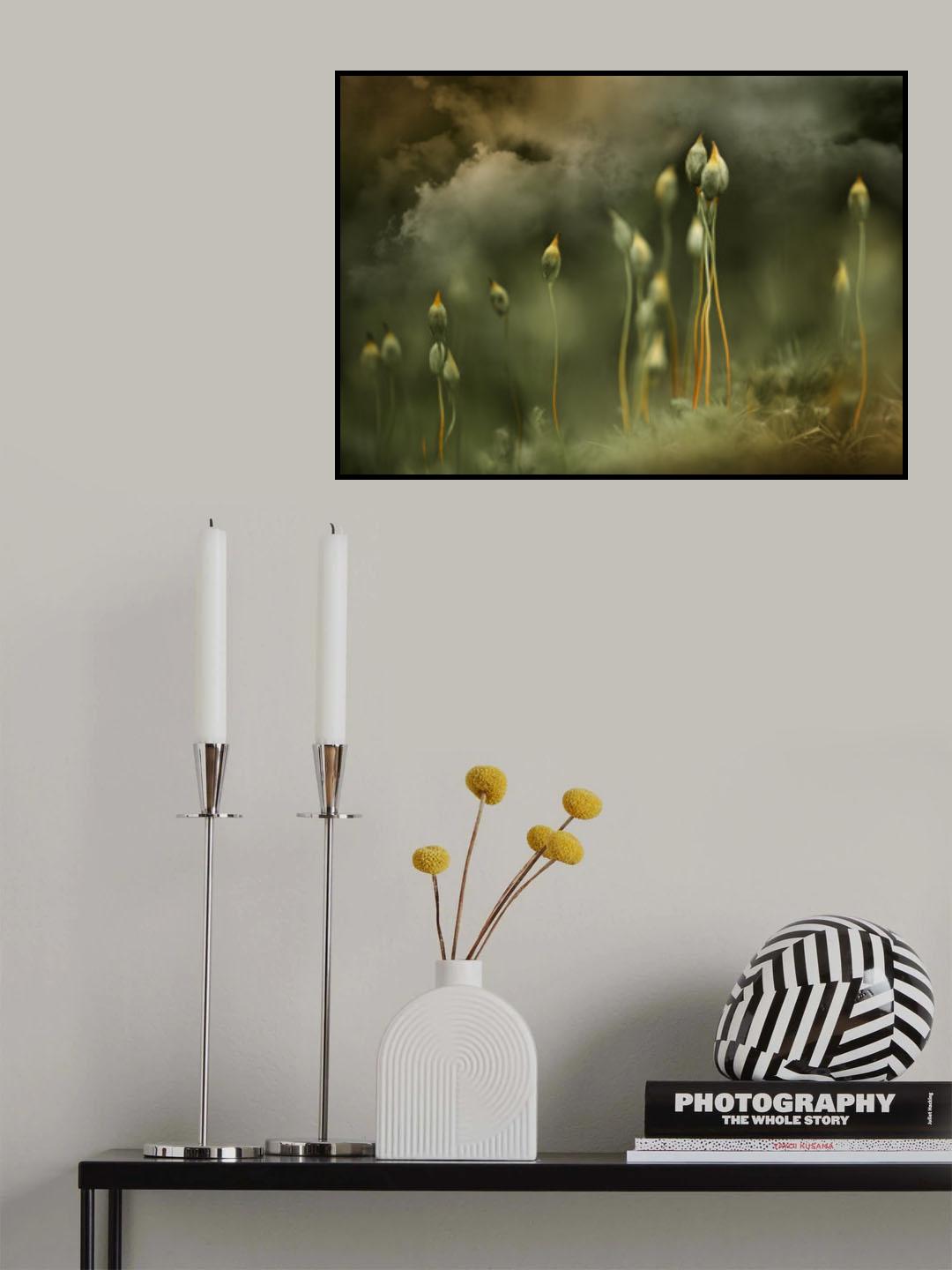 Secret world of moss Poster och Canvastavla