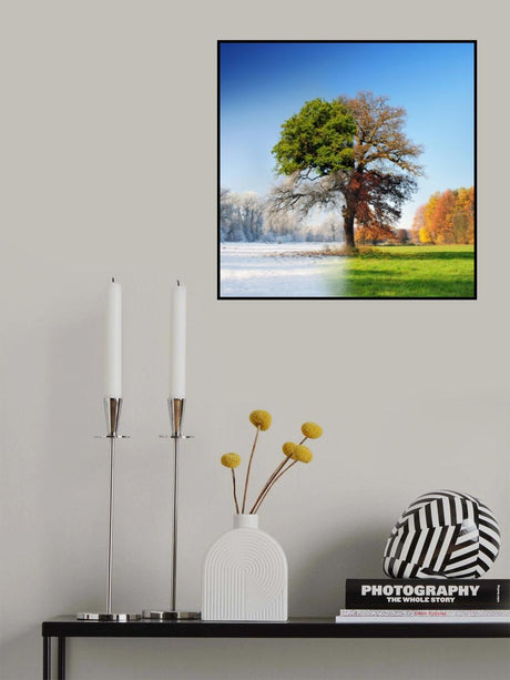 4 seasons Poster och Canvastavla