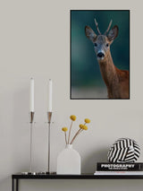 Portrait Of Young "Man" Poster och Canvastavla