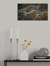 Serpentine duck Poster och Canvastavla