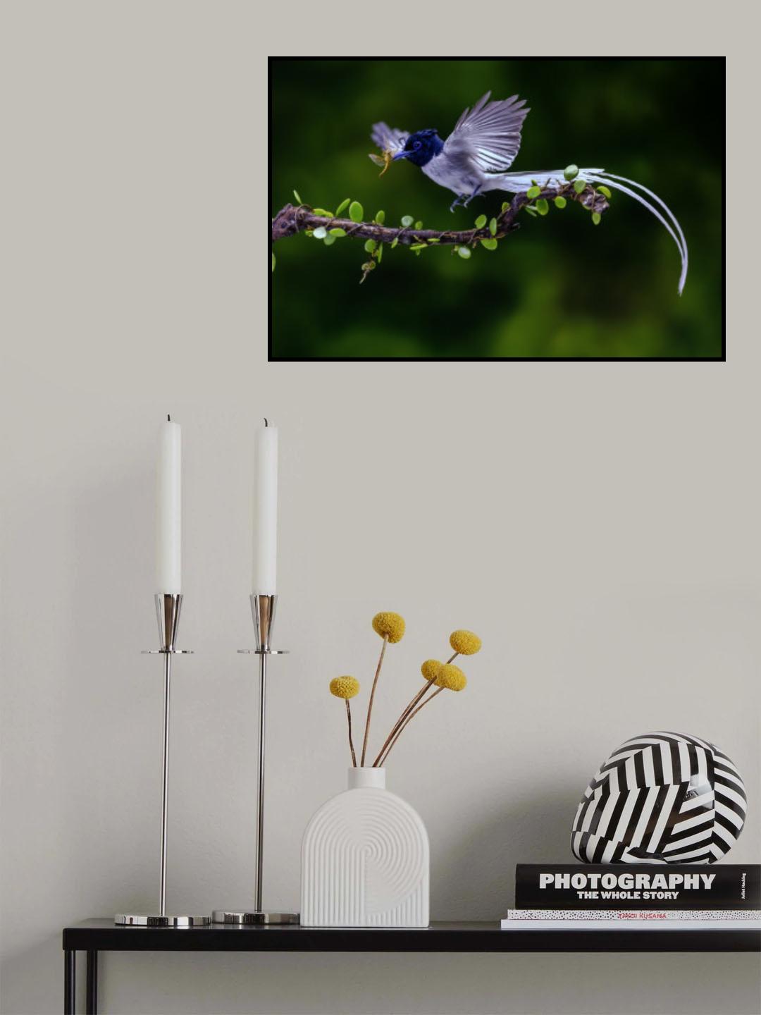 Flycatcher with his food Poster och Canvastavla