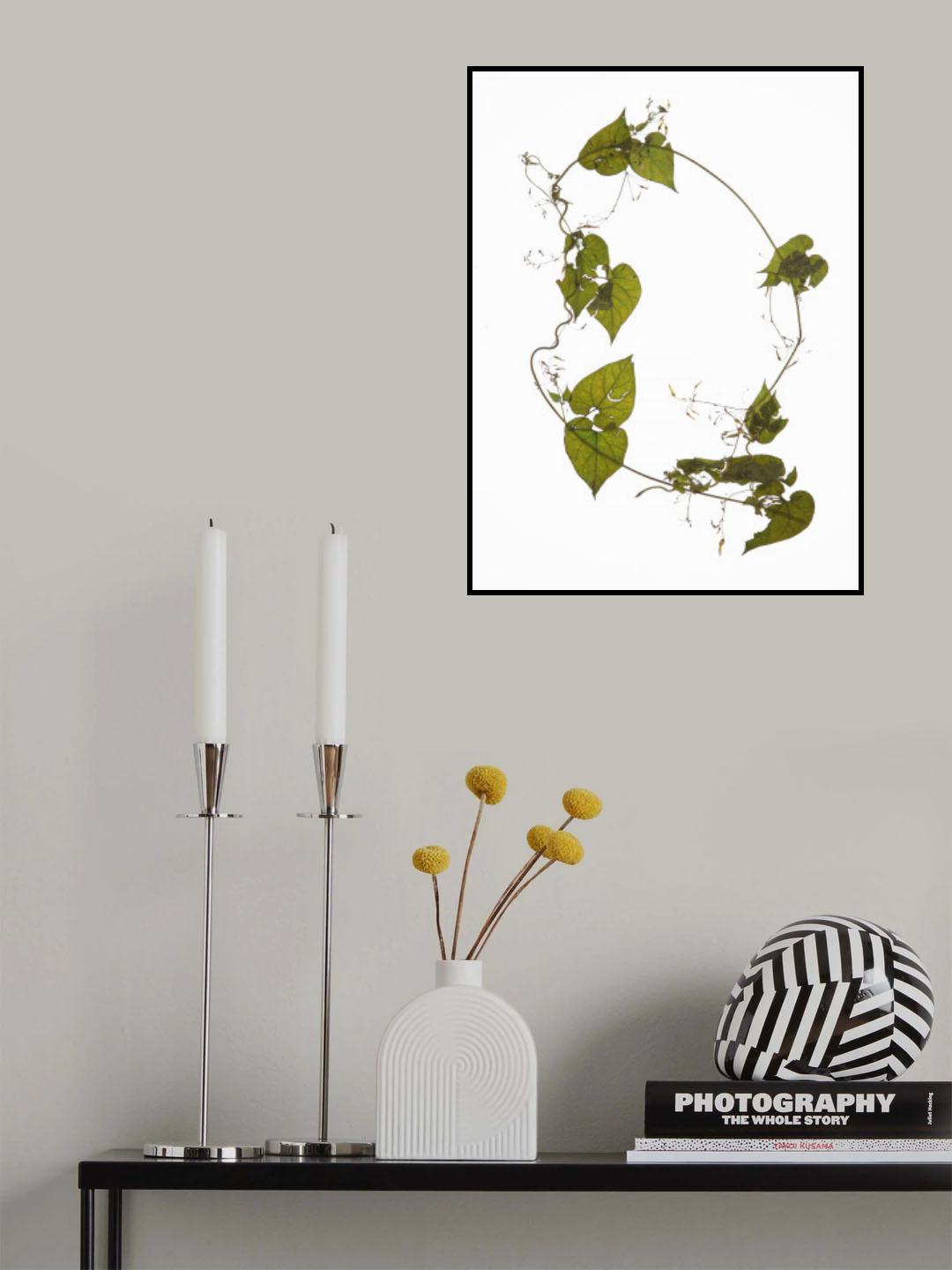 Herbarium 05 Poster och Canvastavla