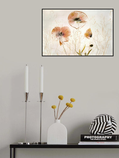 Light and soft Poster och Canvastavla