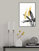 Bird of Paradise Plant Black, White and Gold 01 Poster och Canvastavla