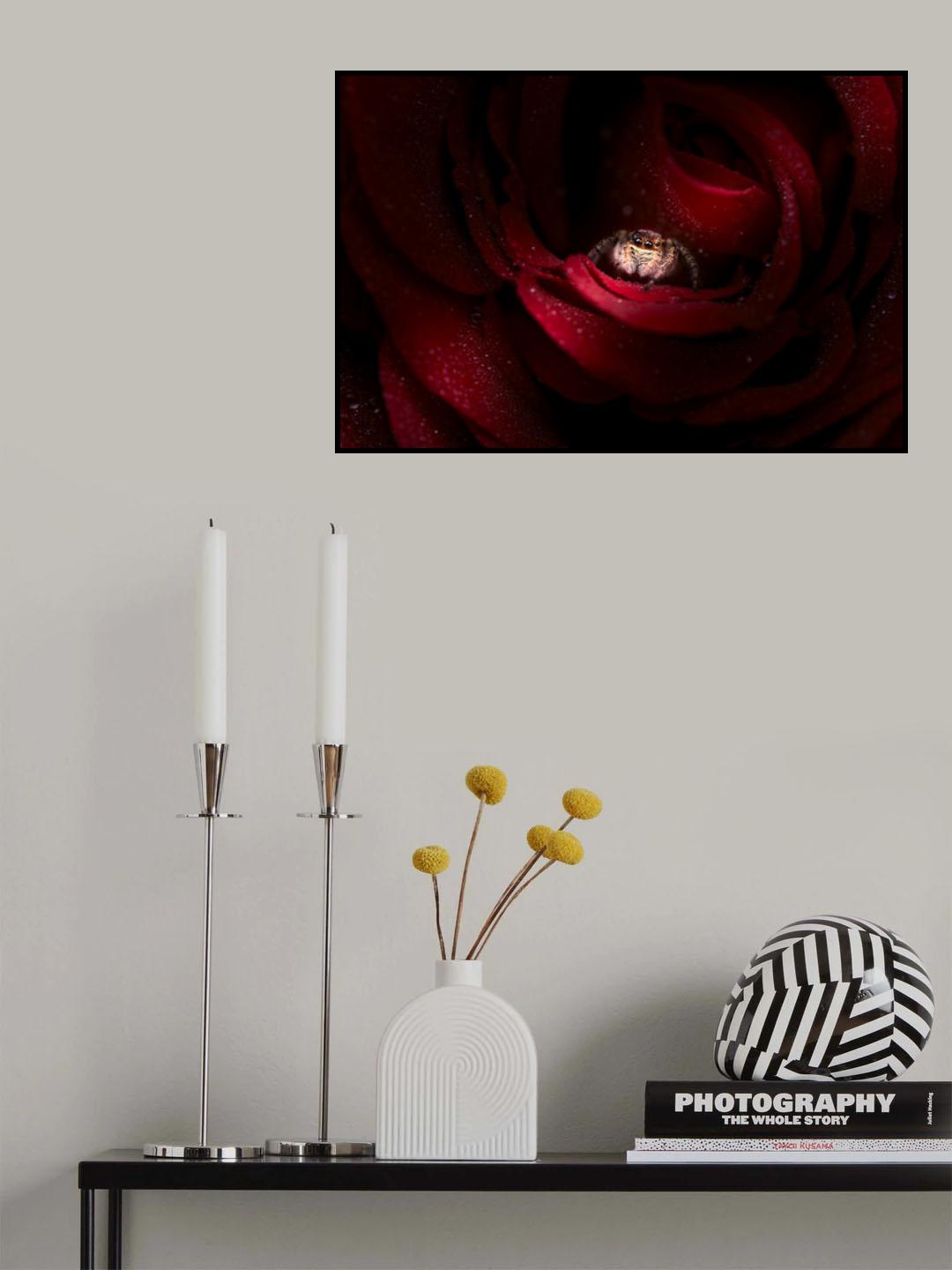 Fairies in flowers Poster och Canvastavla