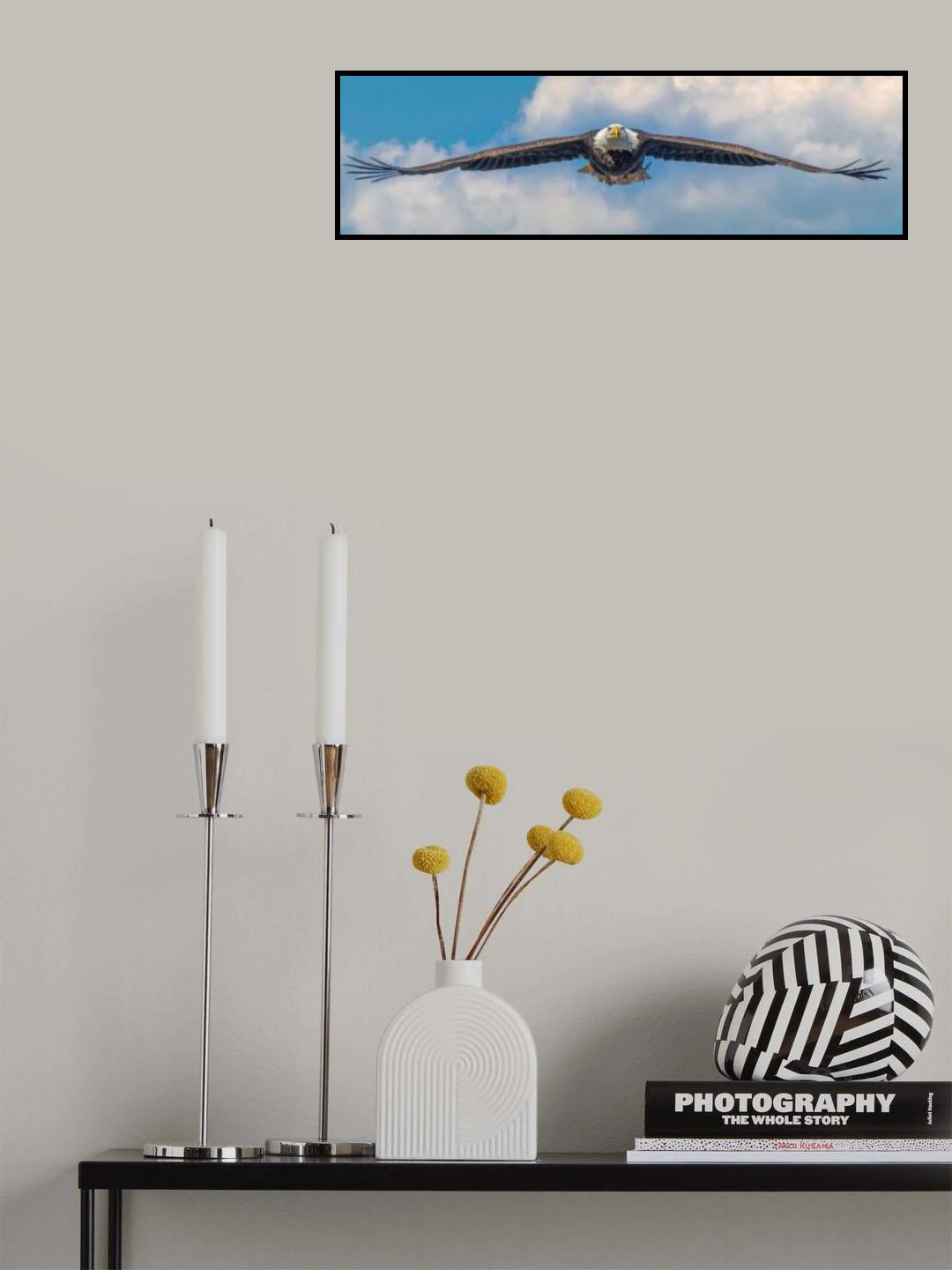 C-17 Poster och Canvastavla