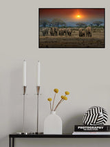 Maasai Mara Elephants 3802 Poster och Canvastavla