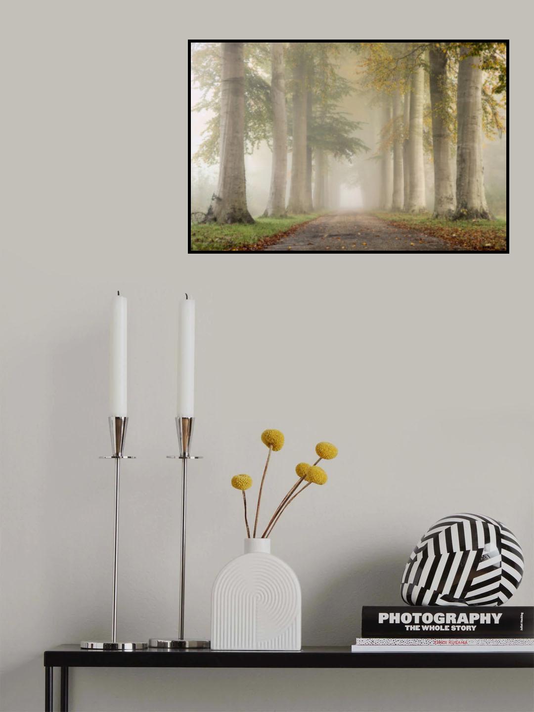 Beech trees in autumn fog Poster och Canvastavla