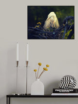 Expecting Poster och Canvastavla