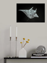 Fly of the deep Poster och Canvastavla