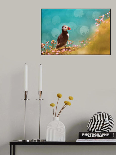 Atlantic puffin (Fratercula arctica) Poster och Canvastavla