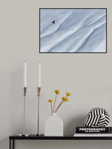 mountain jackdaw Poster och Canvastavla