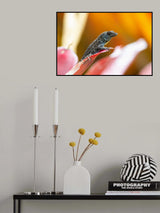 Chill Poster och Canvastavla