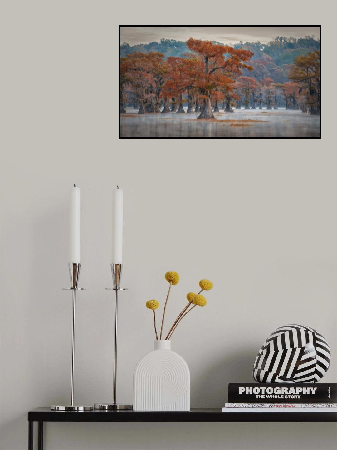 Caddo Lake Poster och Canvastavla
