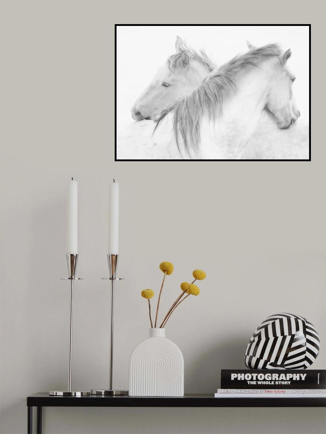 Horses Poster och Canvastavla