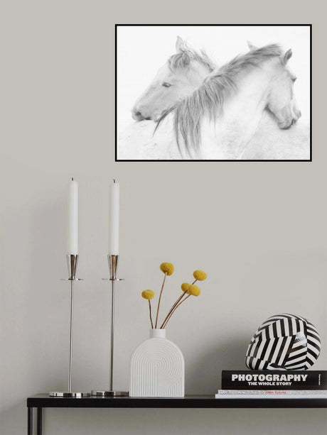 Horses Poster och Canvastavla