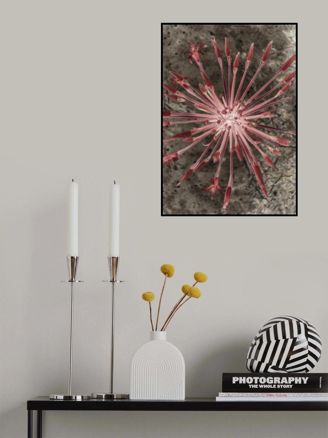 Fire Lilly Poster och Canvastavla
