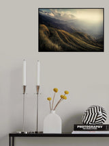 The rice fields Poster och Canvastavla