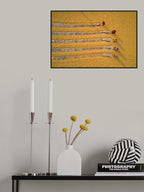 Rice drying Poster och Canvastavla