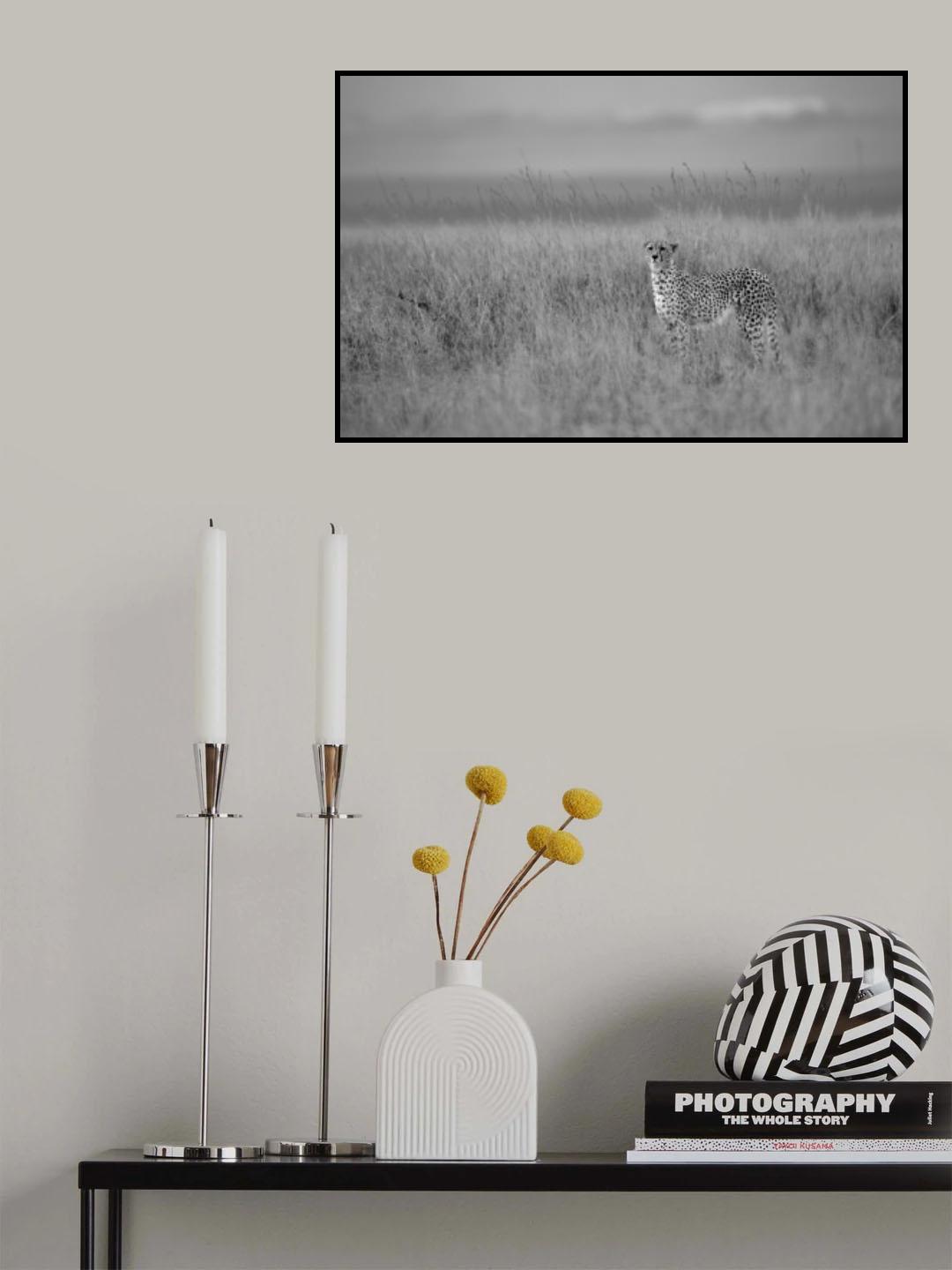 Poster och Canvastavla