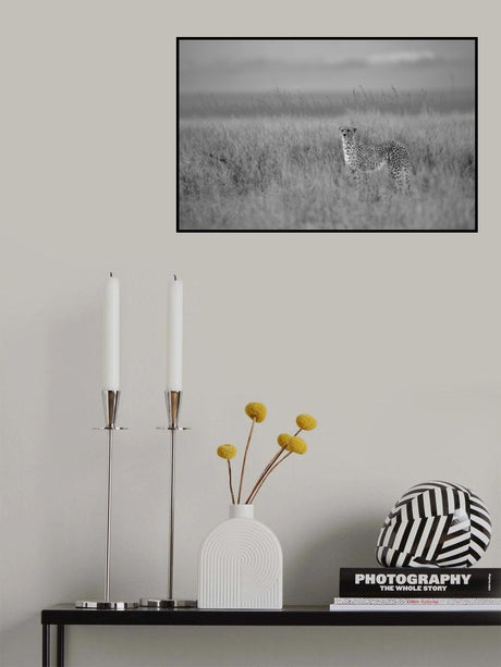 Poster och Canvastavla