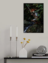 Papua New Guinea Highlands Poster och Canvastavla