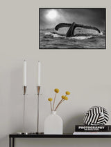 The tail Poster och Canvastavla