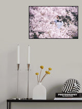Synchronicity Poster och Canvastavla