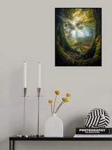 Two brothers Poster och Canvastavla
