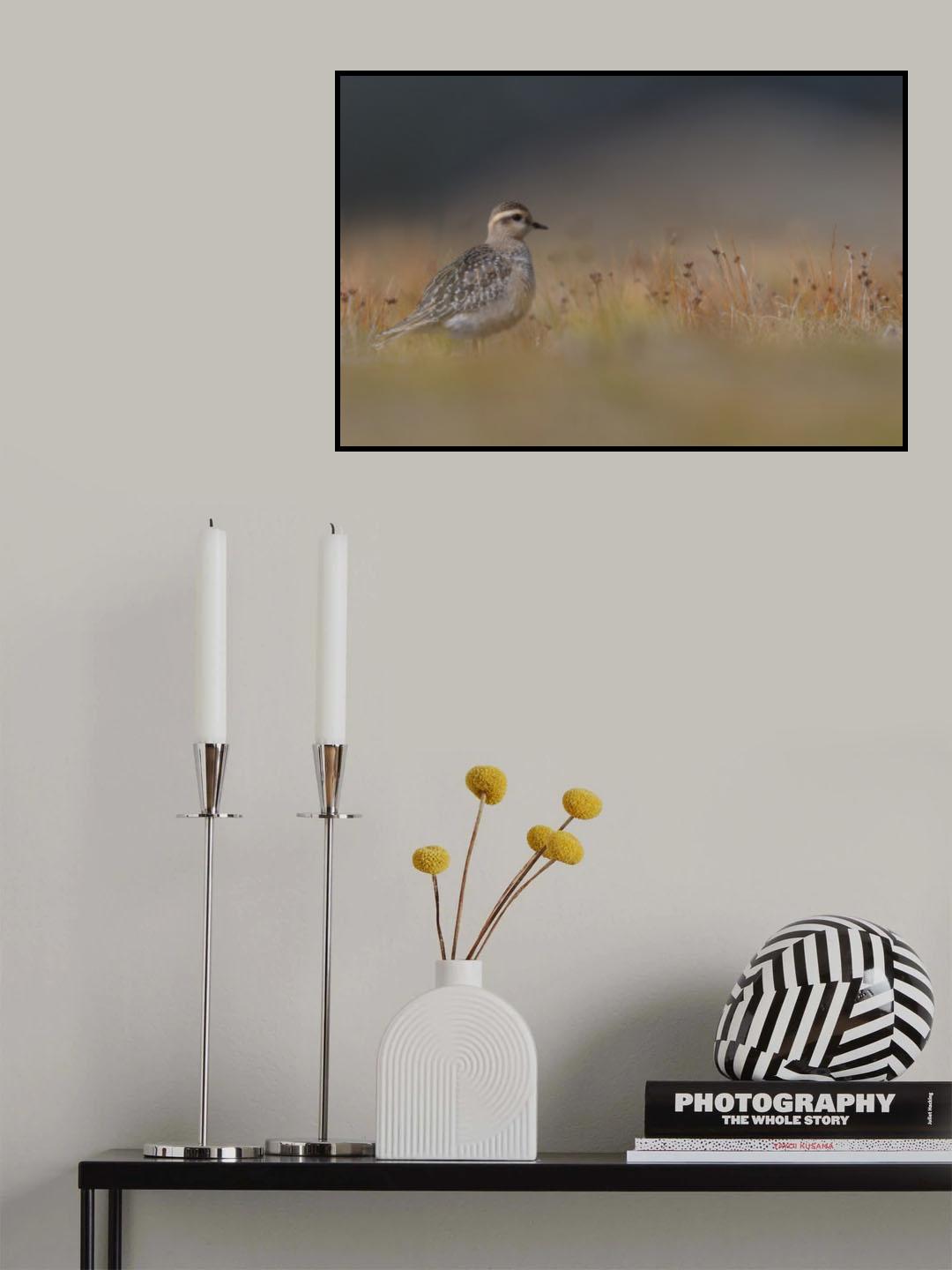 September's colors Poster och Canvastavla