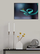 snakes and mantises Poster och Canvastavla