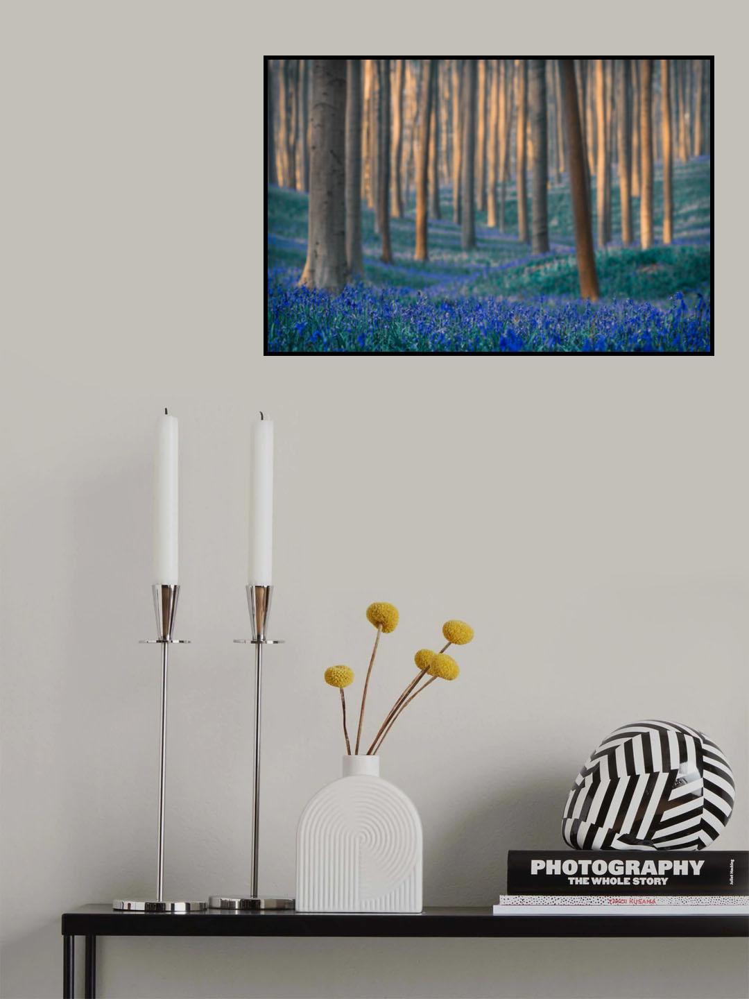 Dreams are made of these Poster och Canvastavla