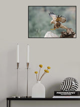 Poster och Canvastavla