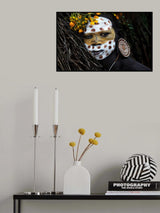 Poster och Canvastavla