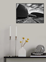 Architecture of the Red Torso2 Poster och Canvastavla