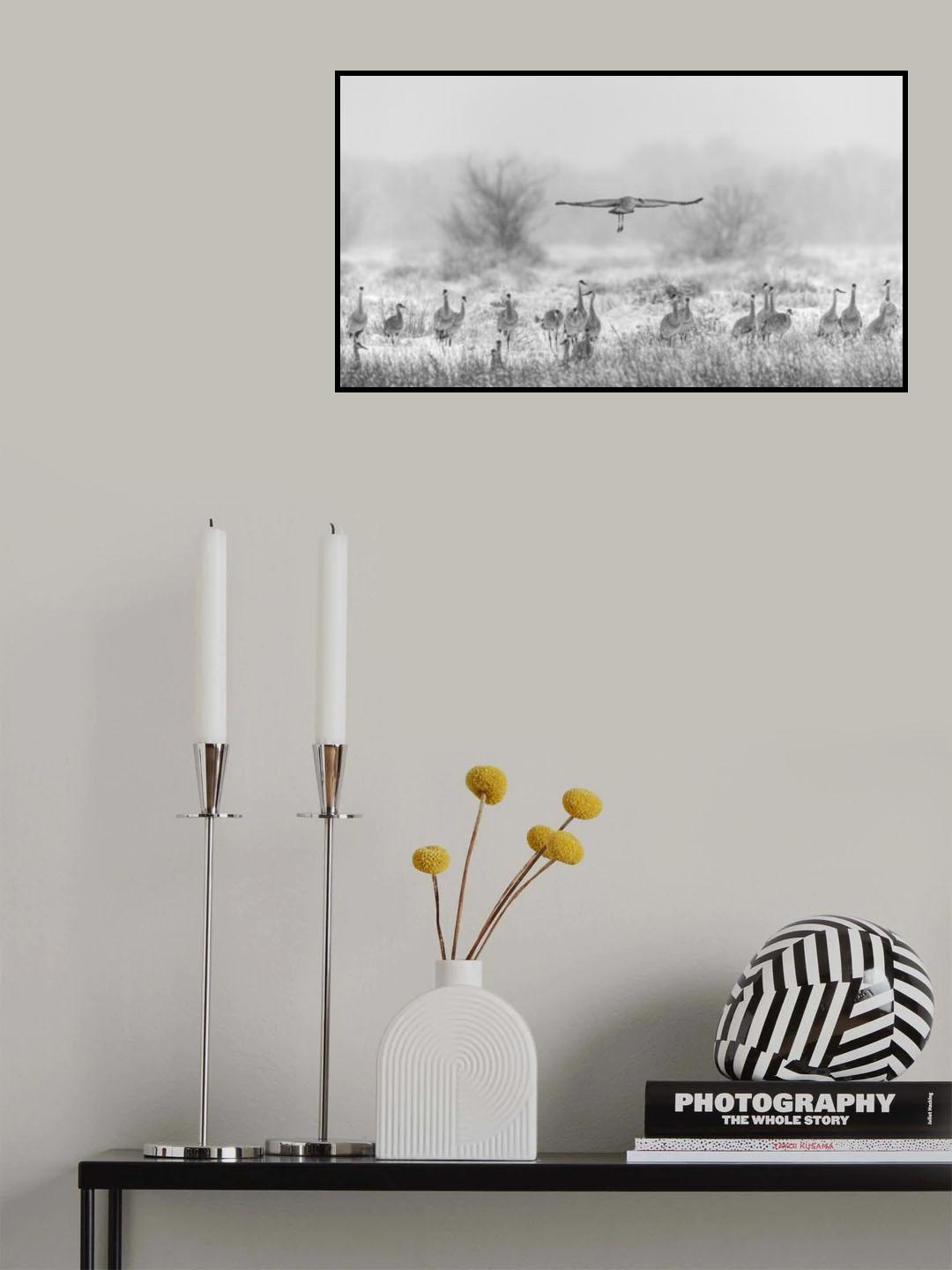Return of the king Poster och Canvastavla