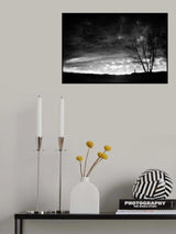 Poster och Canvastavla