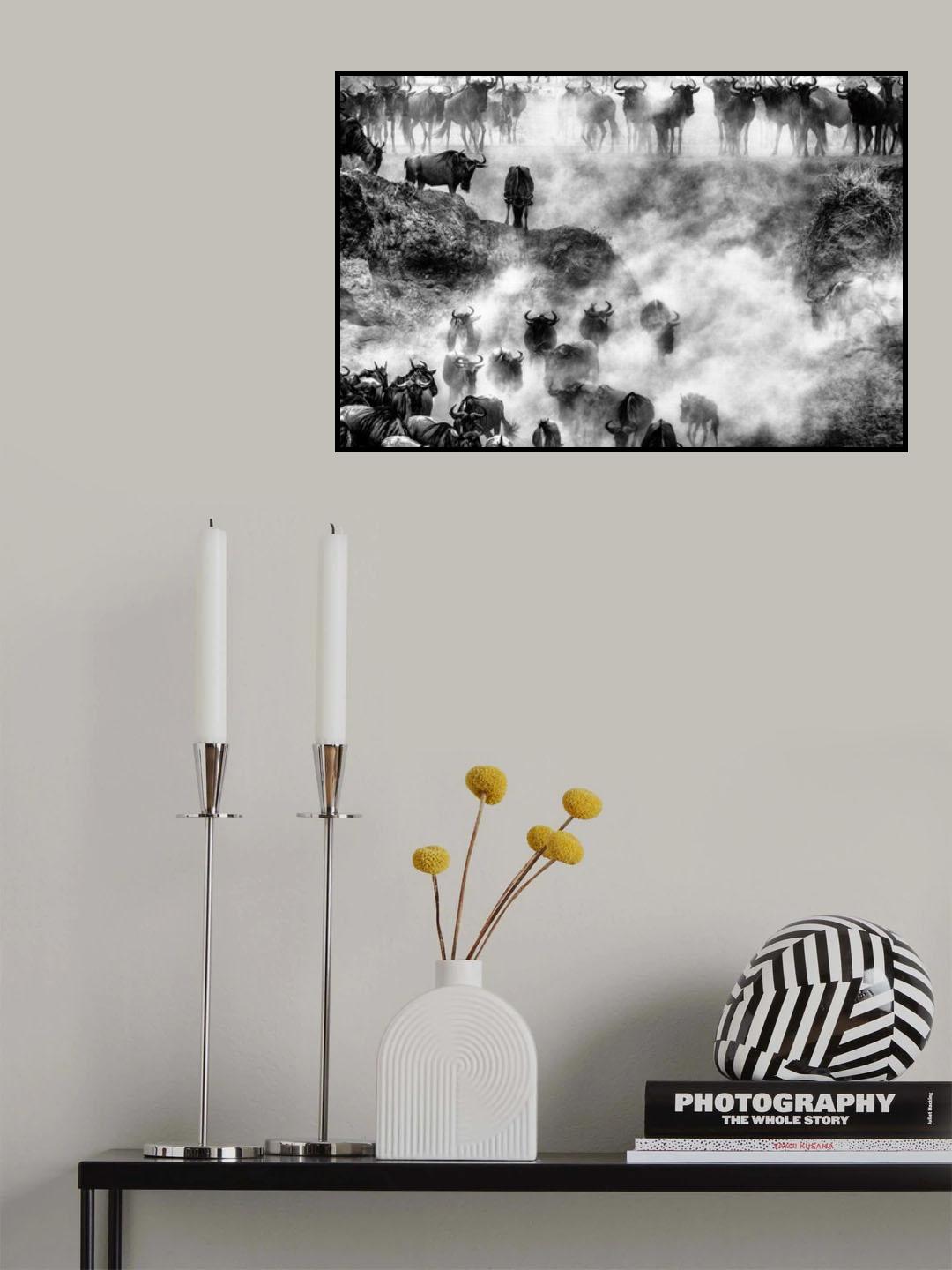 March Poster och Canvastavla
