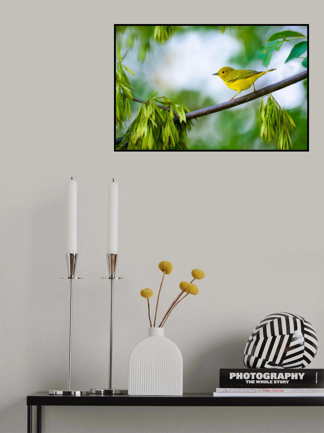 Yellow Warbler Poster och Canvastavla