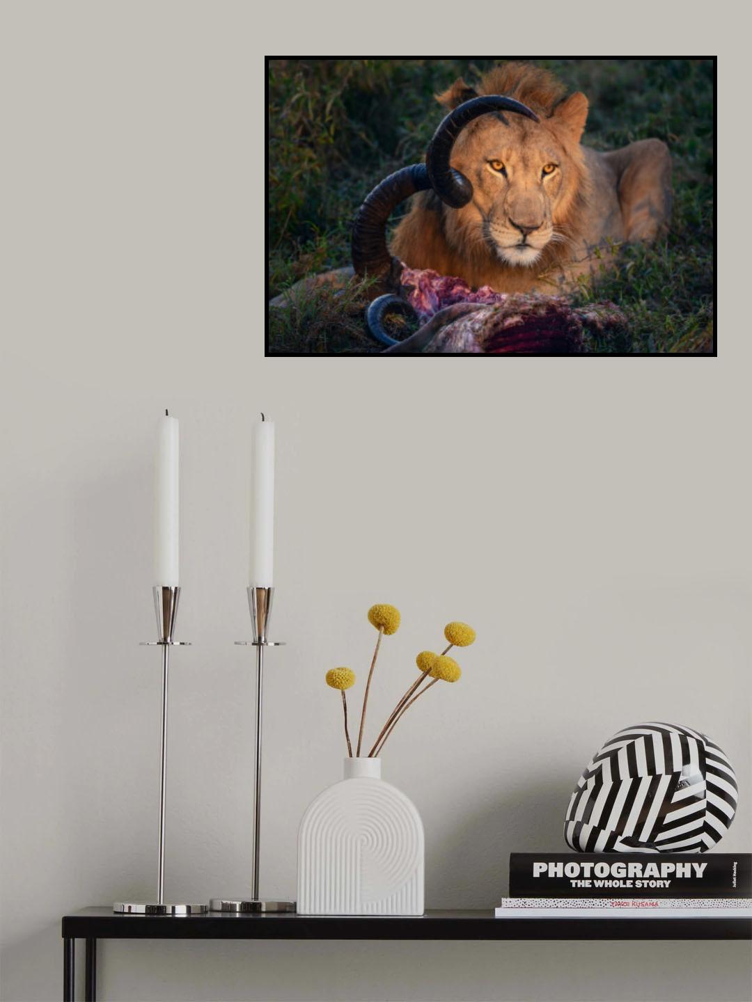HORN FRAME Poster och Canvastavla