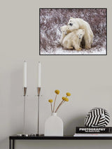 Intimacy Poster och Canvastavla