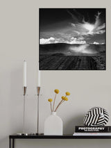 The Modern Cowboy (rides away) Poster och Canvastavla