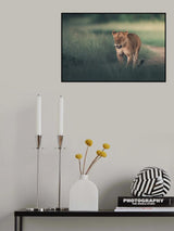 Poster och Canvastavla