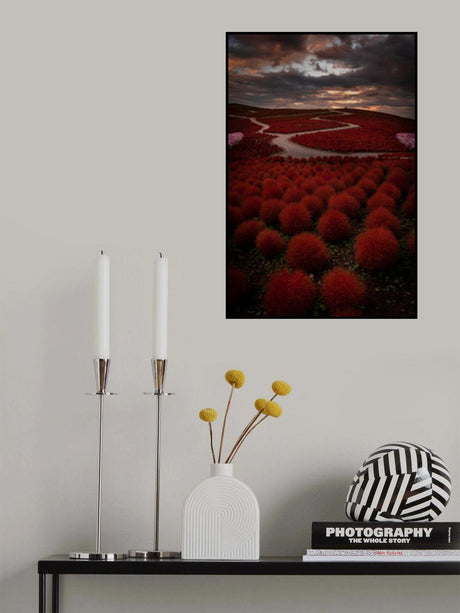 Kochia Road Poster och Canvastavla