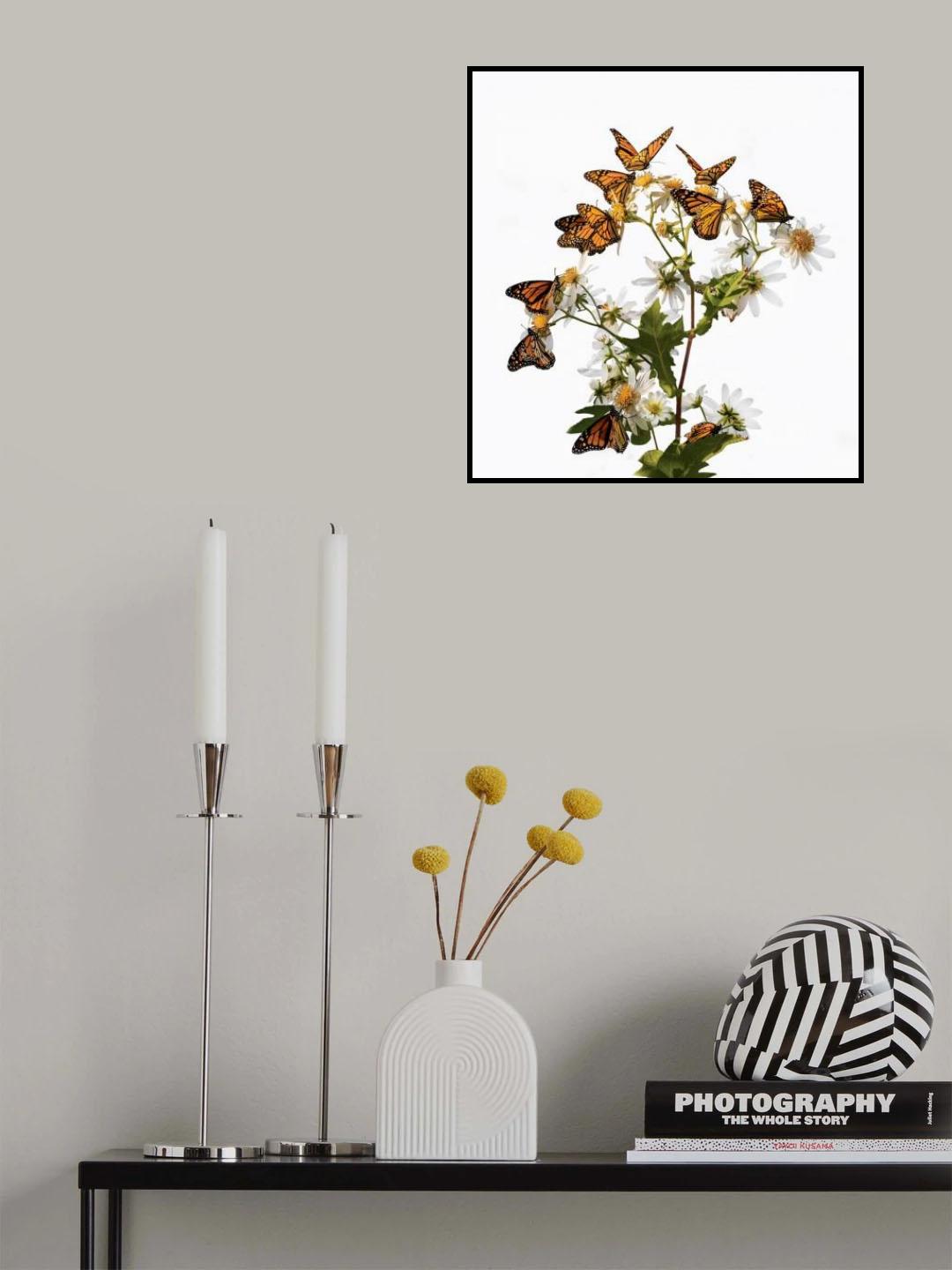 The Dream of Butterflies Poster och Canvastavla