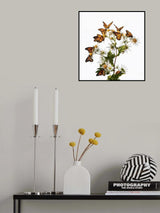 The Dream of Butterflies Poster och Canvastavla